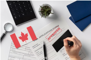 Mastering the Path to a Canadian Study Visa and University Admission
