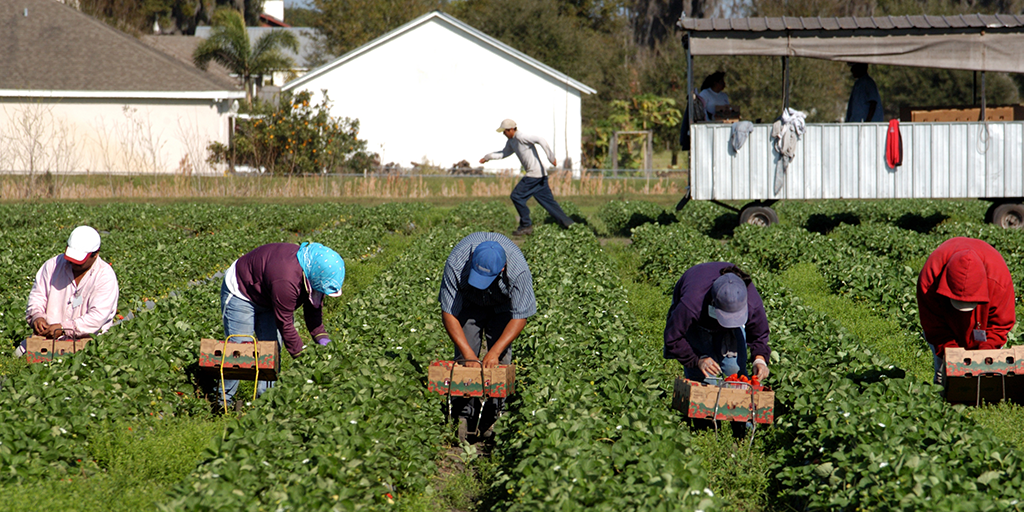 Multiple Farm Worker Positions Available in Canada