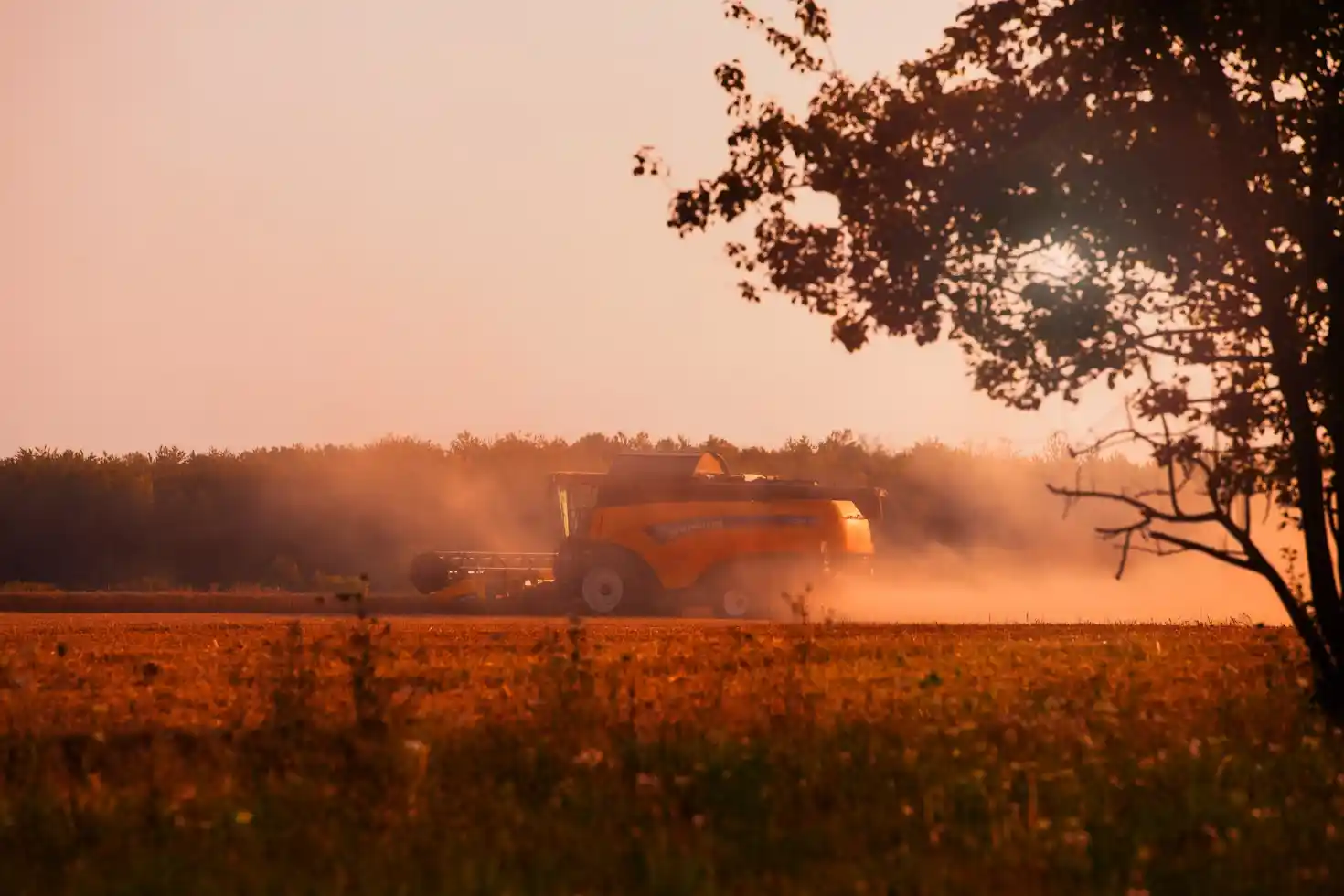 Farm Jobs In UK For Foreigners With Visa Sponsorship